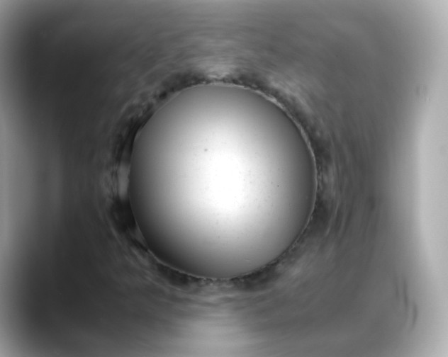 X0000088441349200706051241