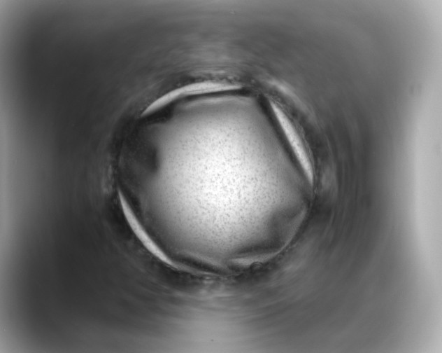 X0000088441350200706051241
