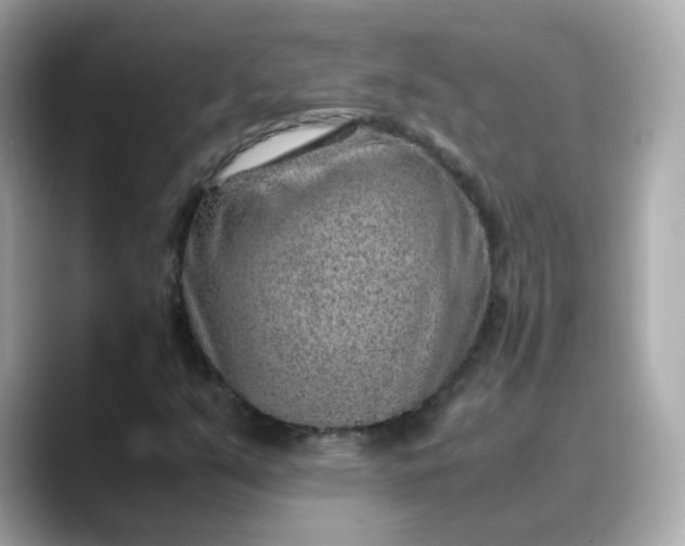 X0000088441351200706051241