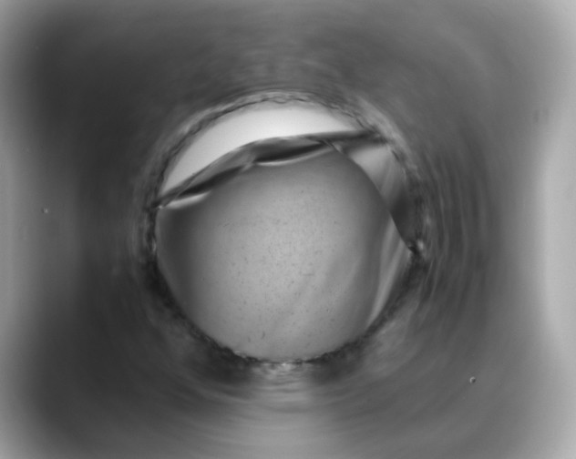 X0000088441352200706051241