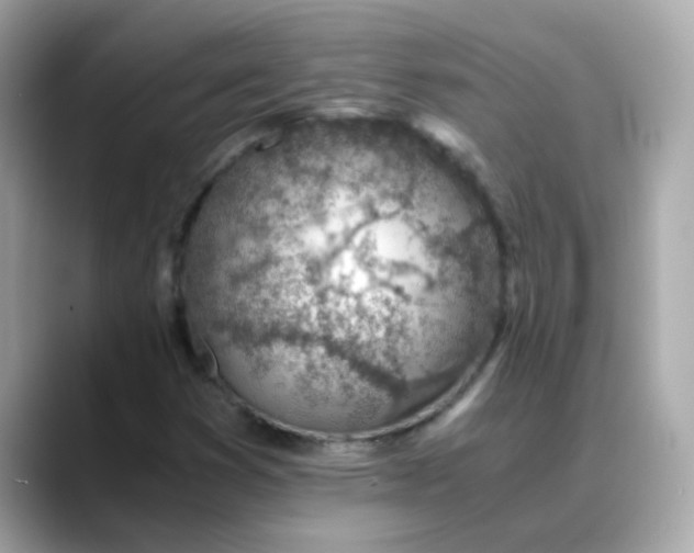 X0000088441353200706051241
