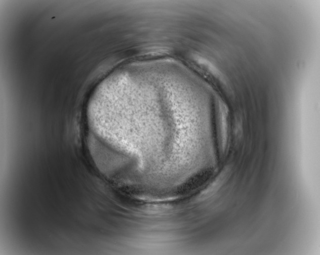 X0000088441354200706051241
