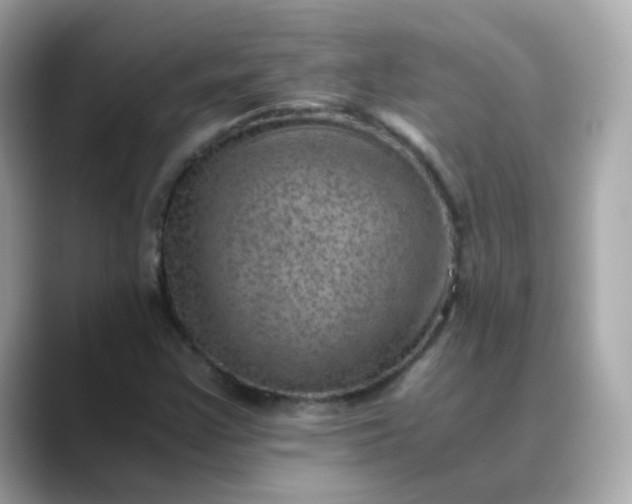 X0000088441355200706051241