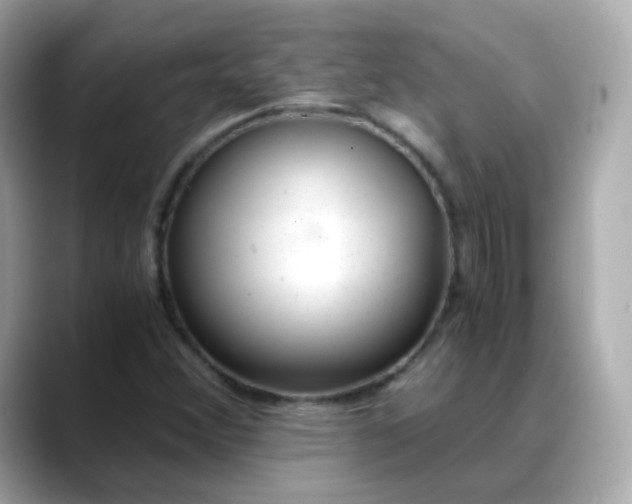 X0000088441356200706051241