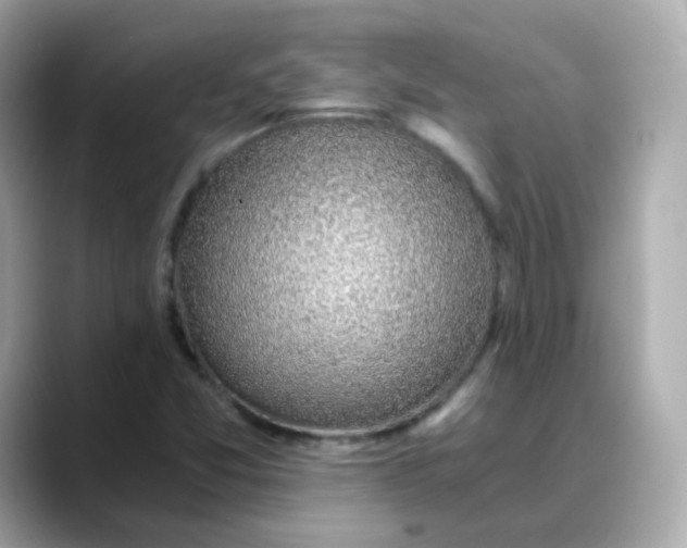 X0000088441357200706051241