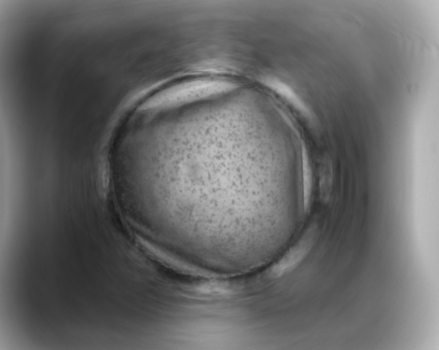 X0000088441358200706051241