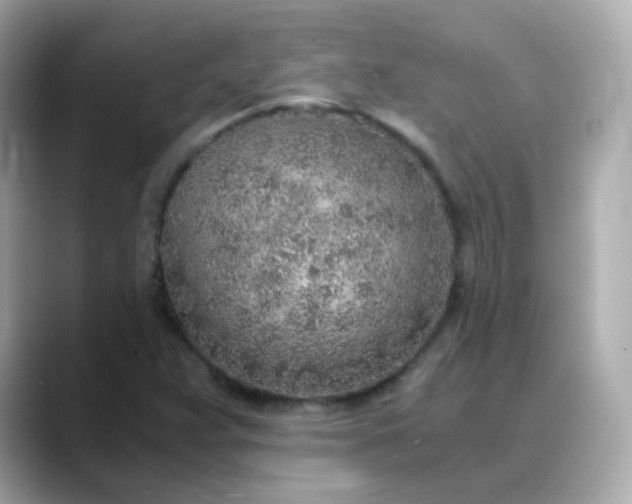X0000088441359200706051241