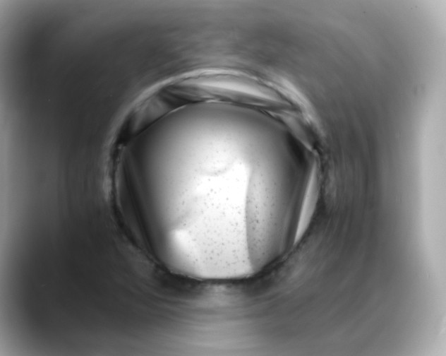 X0000088441360200706051240