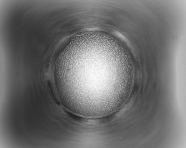 X0000088441361200706051240