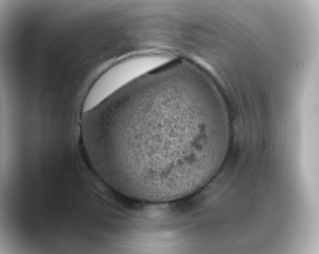 X0000088441363200706051240