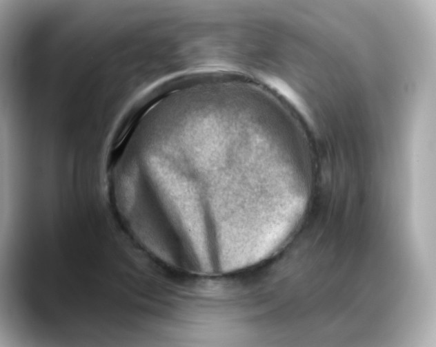 X0000088441364200706051240