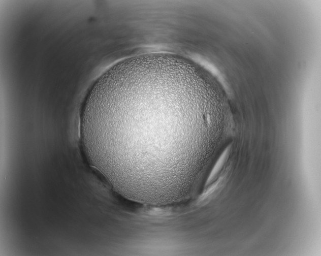 X0000088441365200706051240
