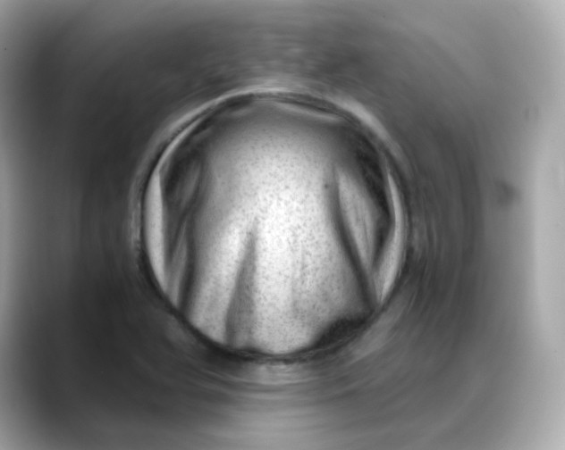 X0000088441366200706051240