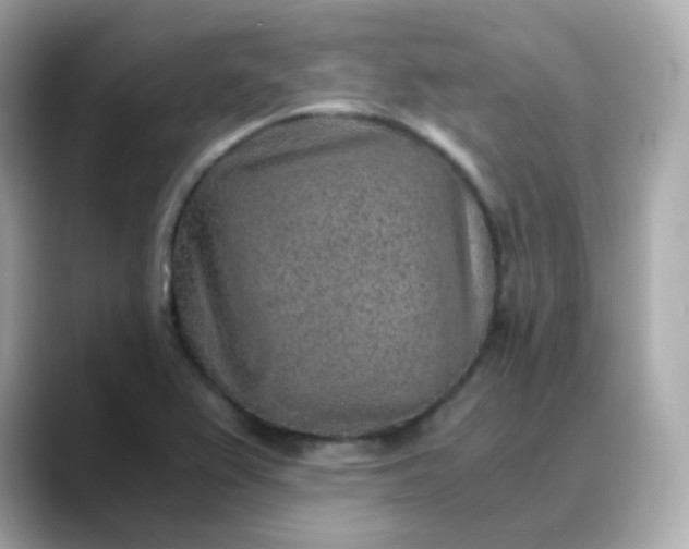 X0000088441367200706051240