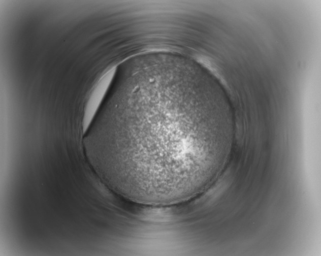 X0000088441369200706051240