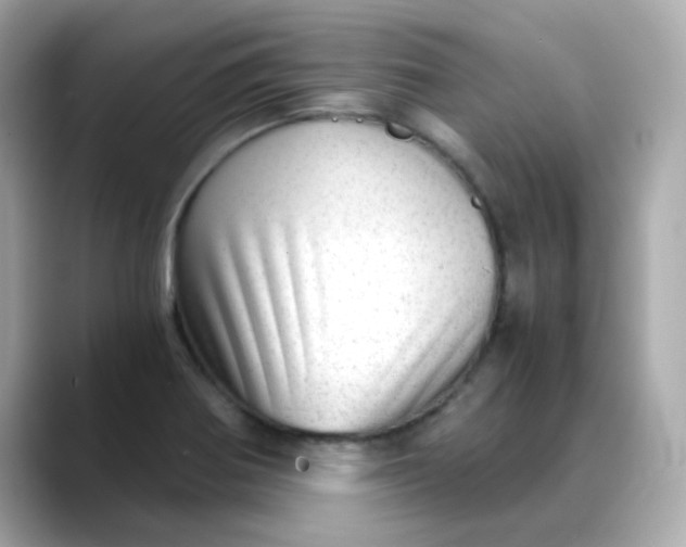 X0000088441370200706051240
