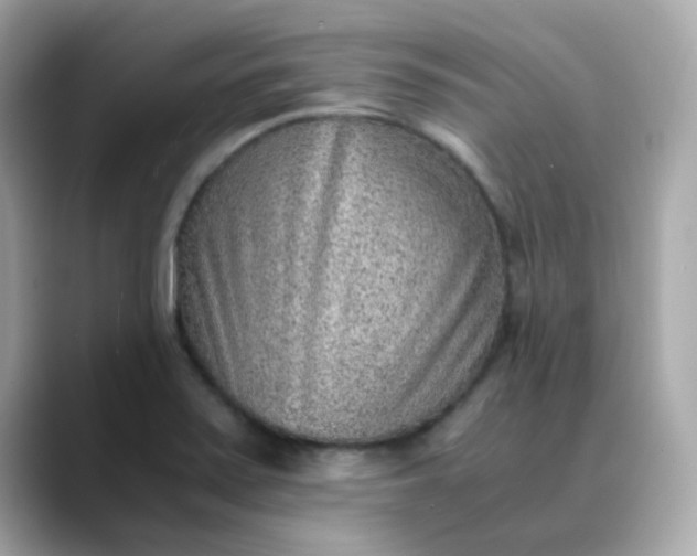 X0000088441371200706051240