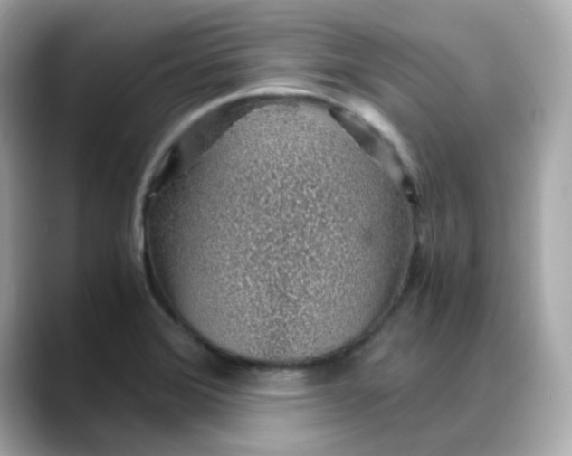 X0000088441372200706051240