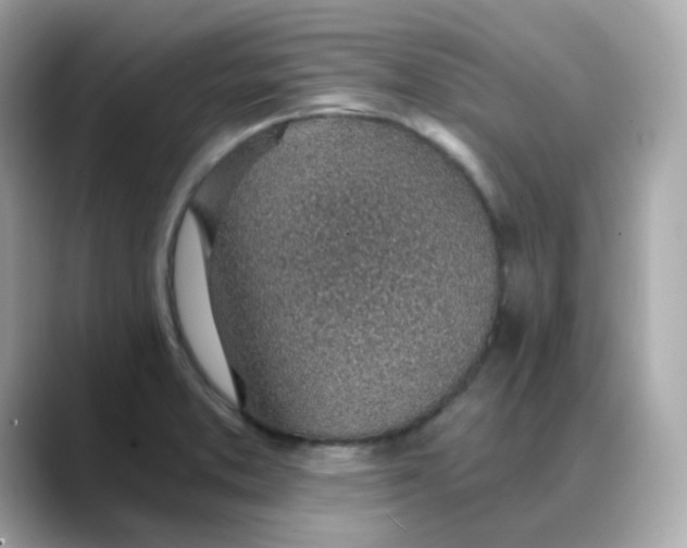 X0000088441373200706051240