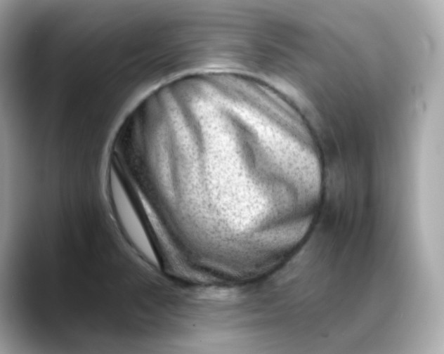 X0000088441374200706051240