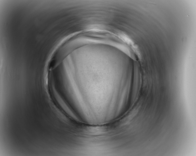 X0000088441376200706051240