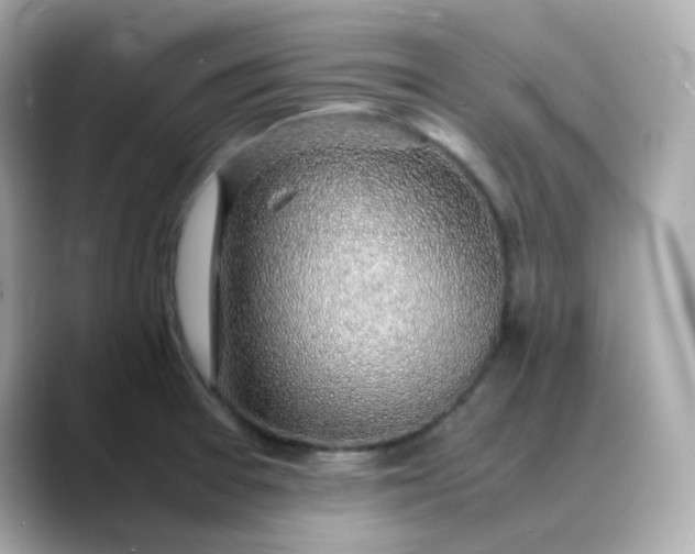 X0000088441377200706051240