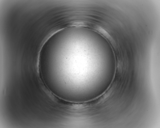 X0000088441378200706051240