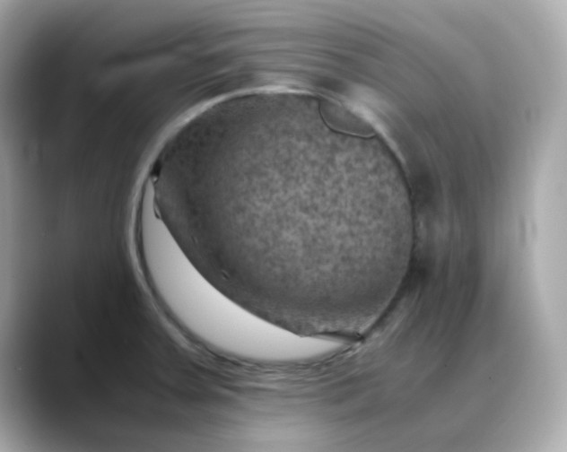 X0000088441379200706051240