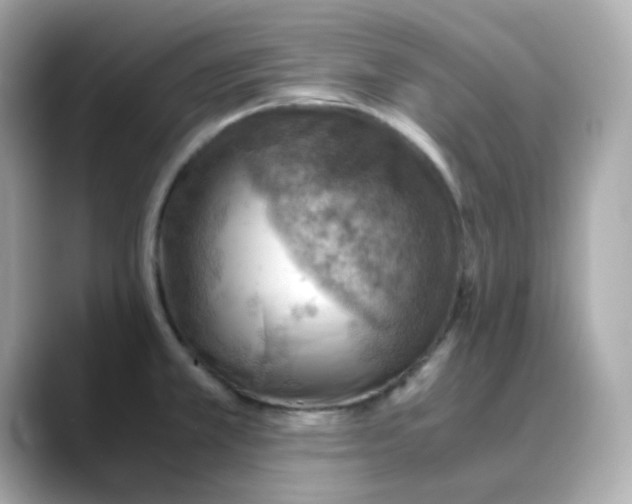X0000088441381200706051240