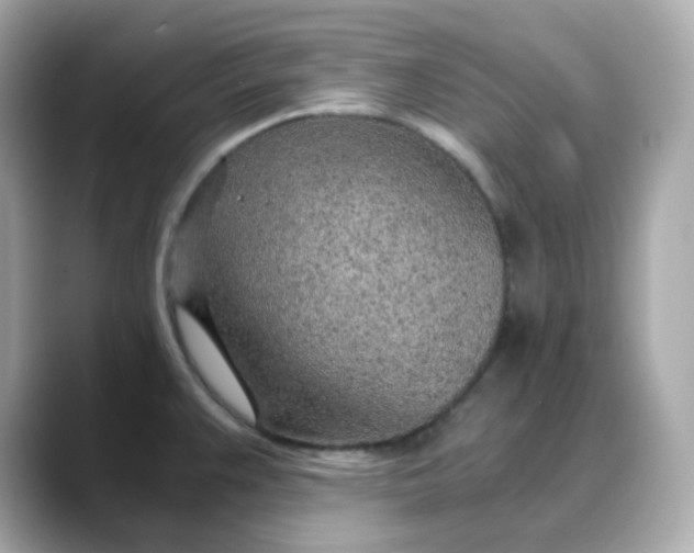 X0000088441383200706051240