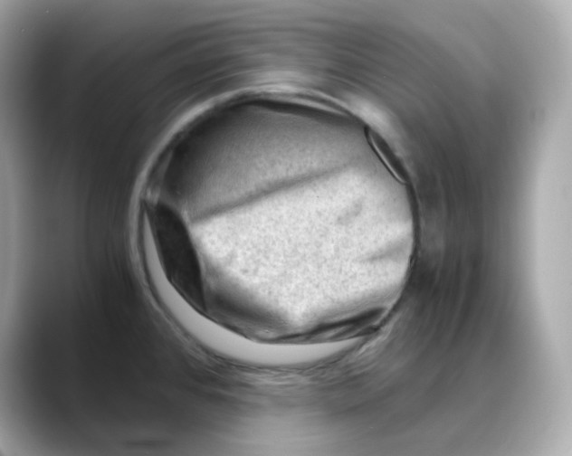 X0000088441384200706051240