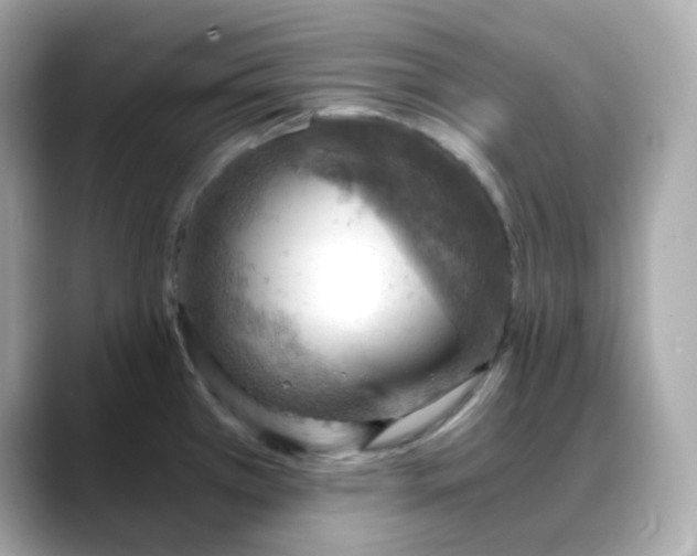 X0000088441385200706051240