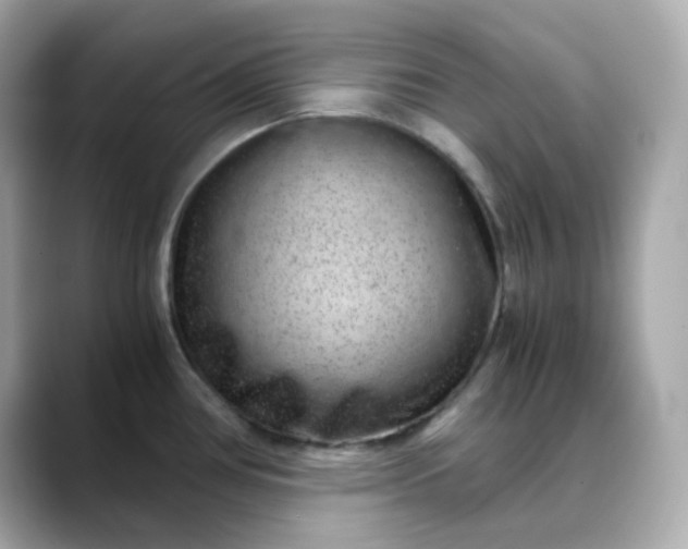 X0000088441386200706051240