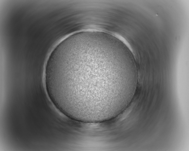 X0000088441387200706051240