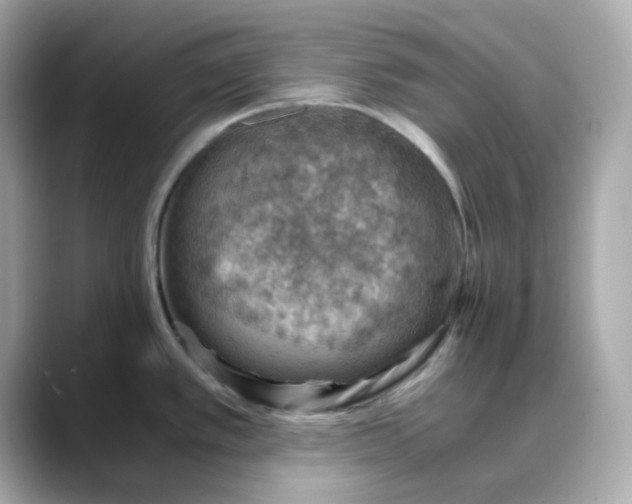 X0000088441389200706051240