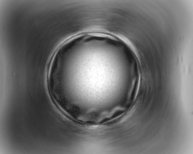 X0000088441390200706051240