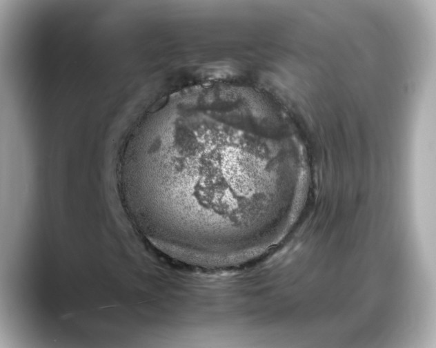 X0000088441393200706051240