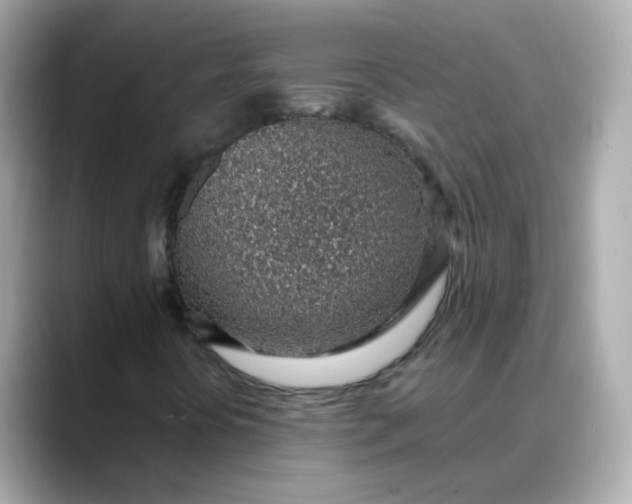 X0000088441394200706051240