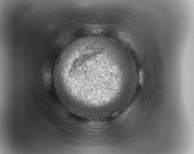 X0000088441395200706051240