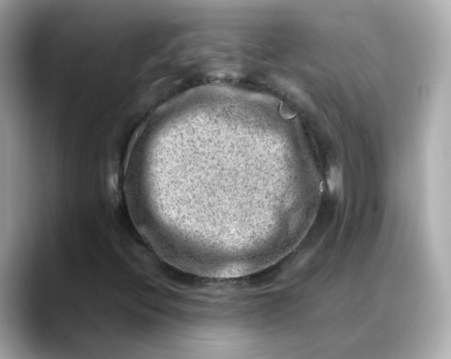 X0000088441396200706051240