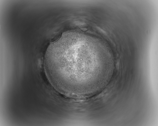X0000088441397200706051240