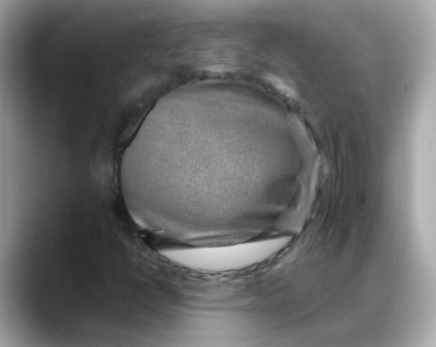 X0000088441398200706051240