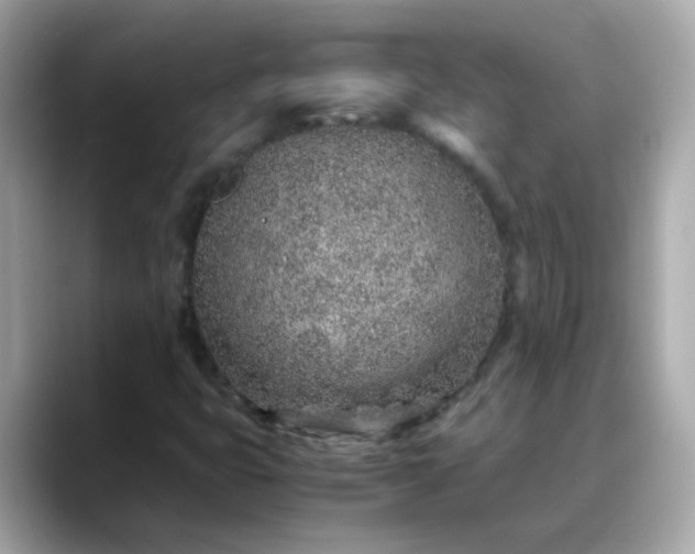 X0000088441399200706051240