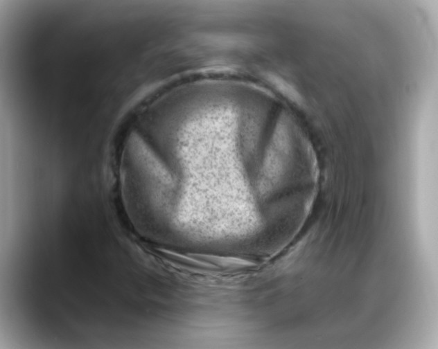 X0000088441400200706051240
