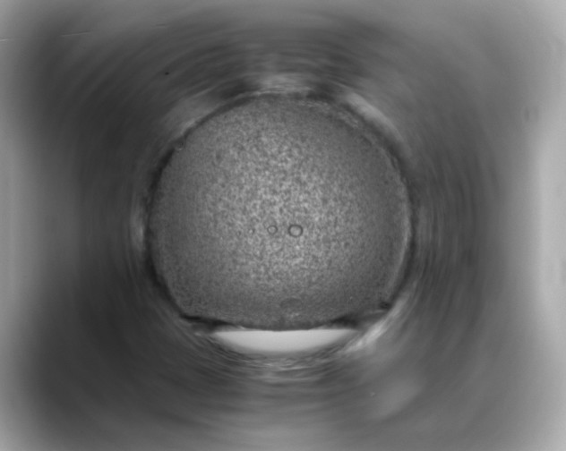 X0000088441401200706051240