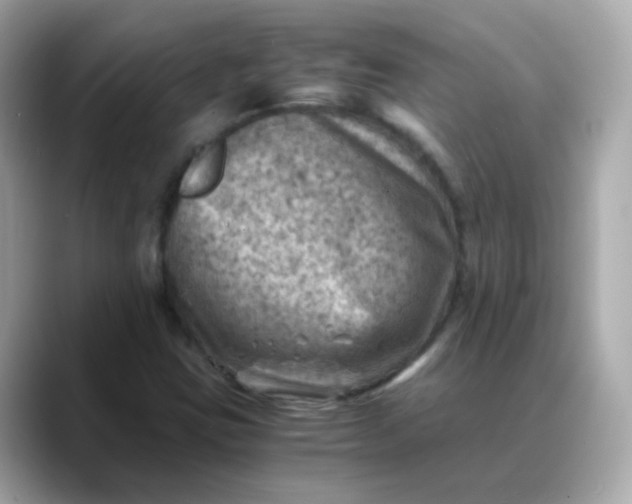 X0000088441403200706051240