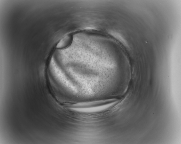 X0000088441404200706051240
