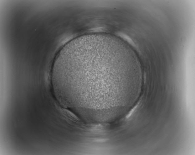 X0000088441405200706051240