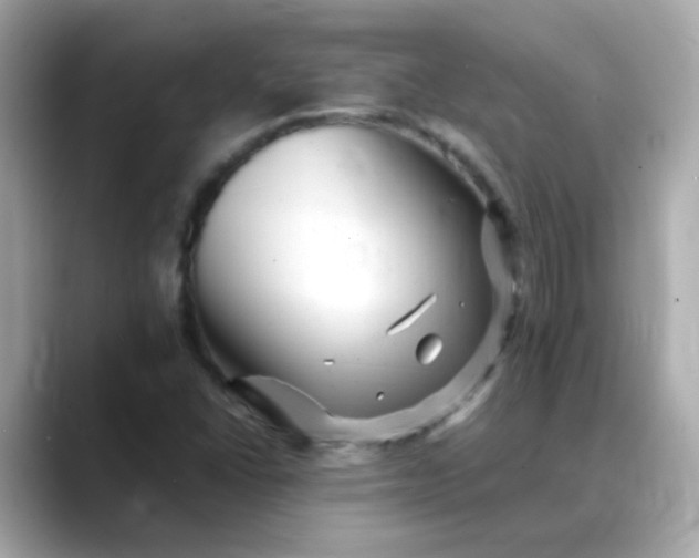 X0000088441406200706051240