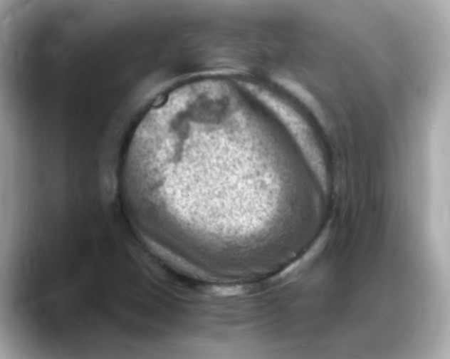 X0000088441407200706051240